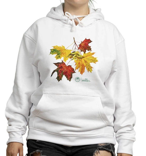 Norway maple — hoodie