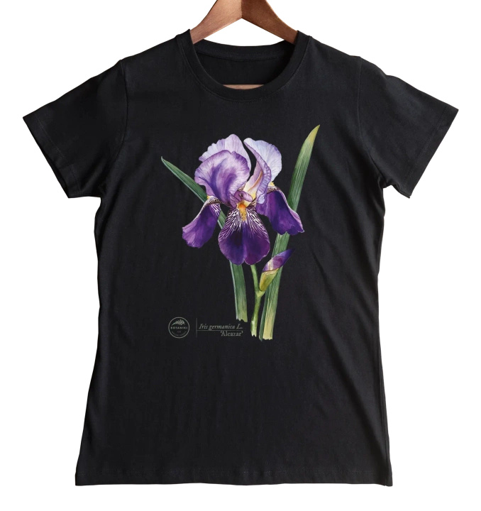 Iris 'Alcazar' — women's t-shirt