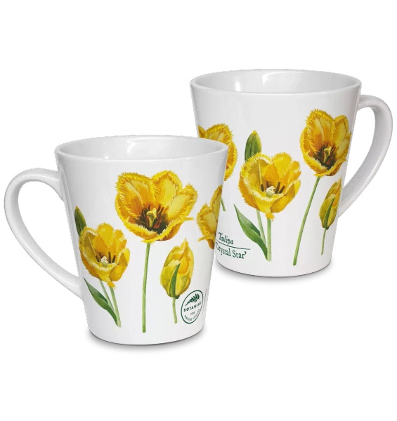 Tulip 'Crystal Star' — latte mug