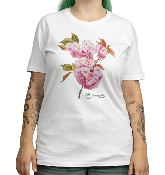 Cherry blossom 'Kanzan' — classic unisex t-shirt