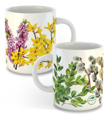 Spring shrubs — classic mug