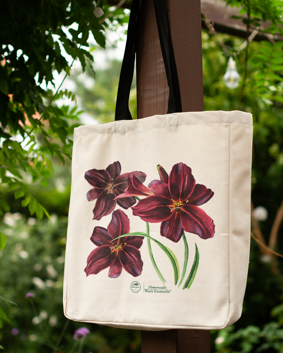 Daylily 'Black Emanuelle' — premium cotton bag
