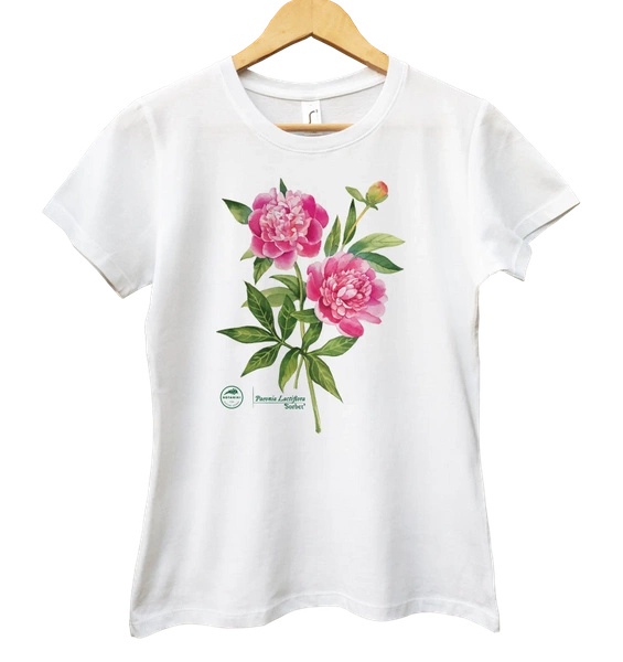 Chinese peony 'Sorbet' — women's t-shirt