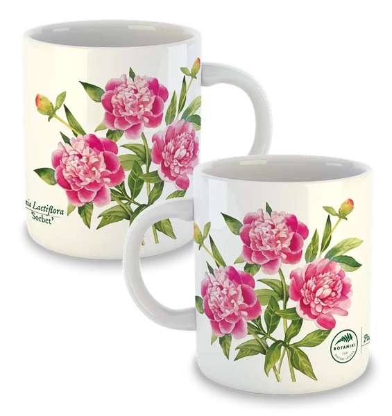 Chinese peony 'Sorbet' — classic mug