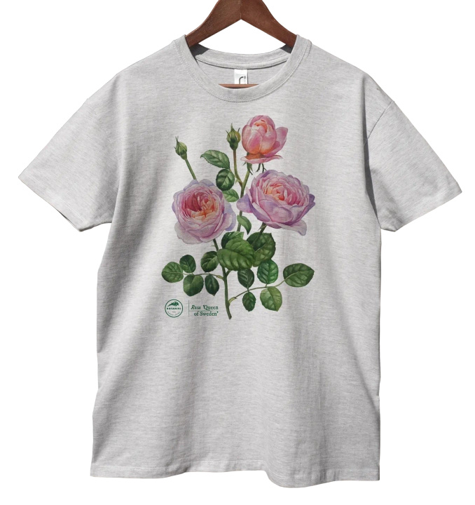 Rose 'Queen of Sweden' — classic t-shirt