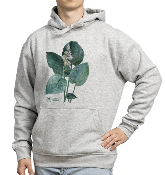 Hosta 'Blue Rock' — hoodie