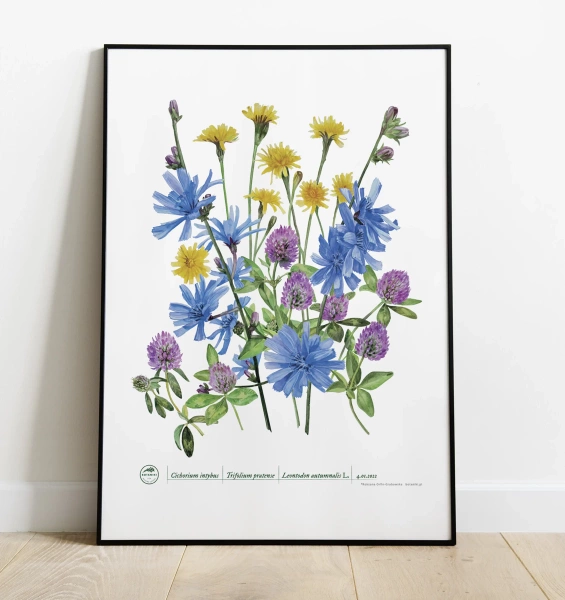 Roadside flowers — plant motif poster