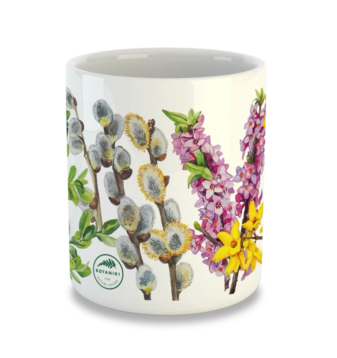 Spring shrubs — classic mug