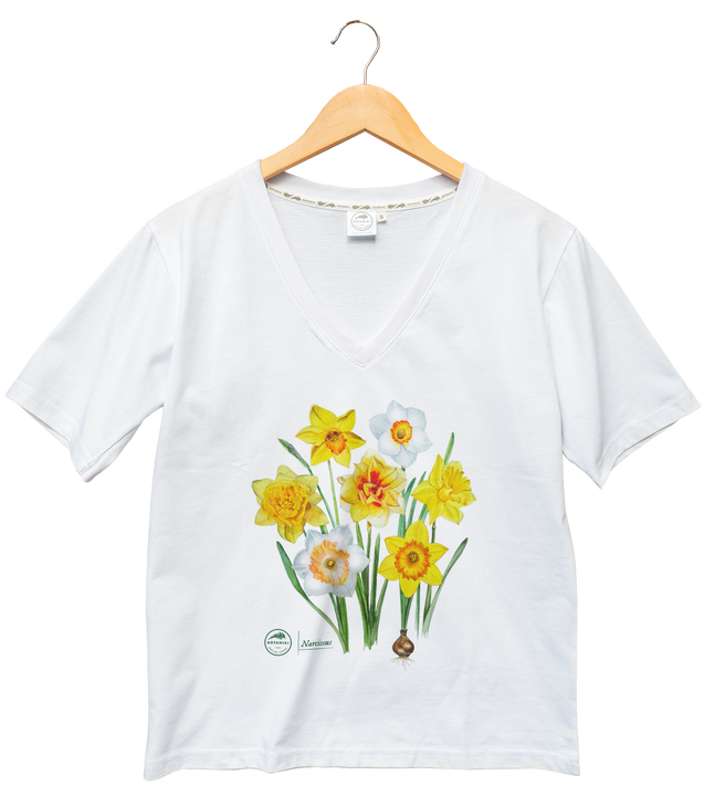Daffodils — premium t-shirt