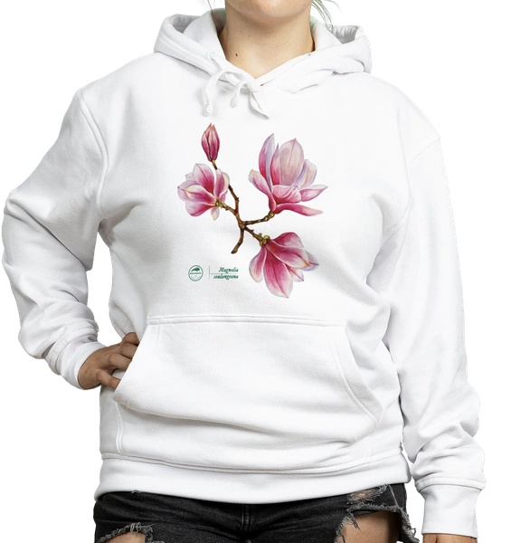 Saucer magnolia — hoodie