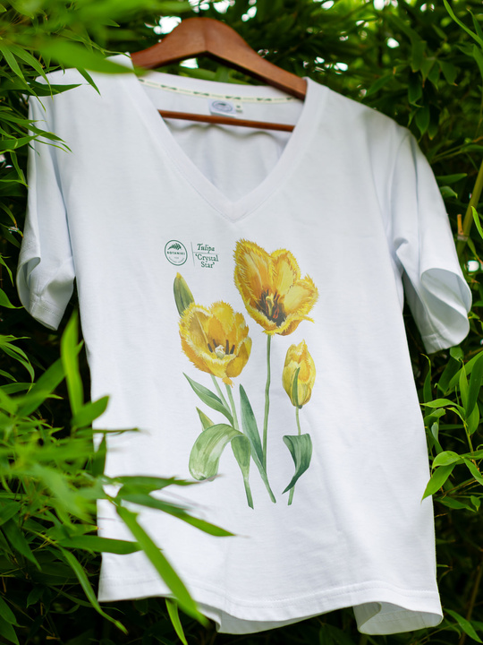 Tulips 'Crystal Star' — premium  t-shirt