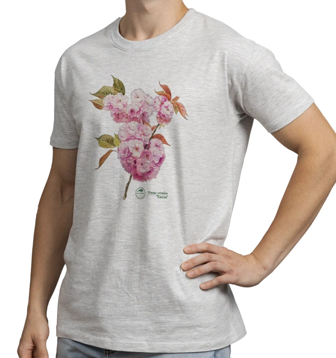 Cherry blossom 'Kanzan' — classic unisex t-shirt