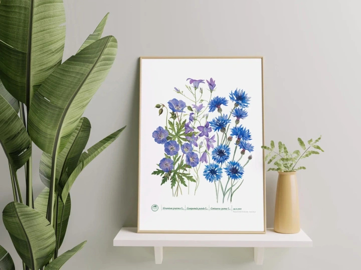 Blue meadow — plant motif poster