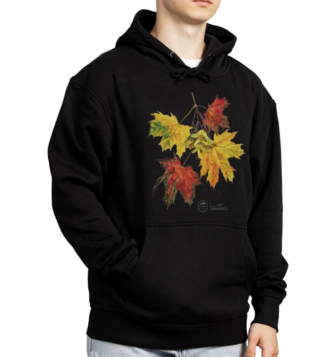 Norway maple — hoodie