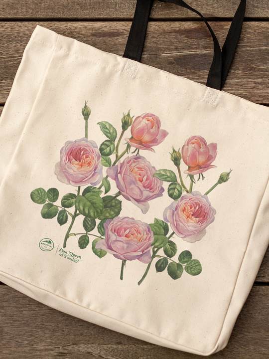 'Queen of Sweden' rose — premium cotton bag