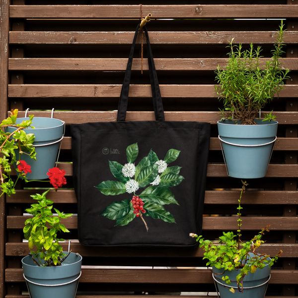 Coffea arabica — premium cotton bag