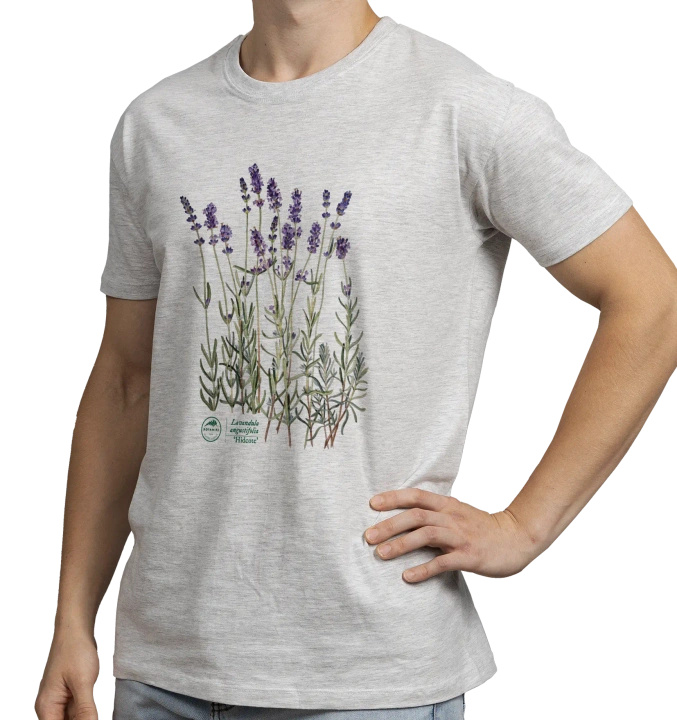 Lavender 'Hidcote' — classic t-shirt