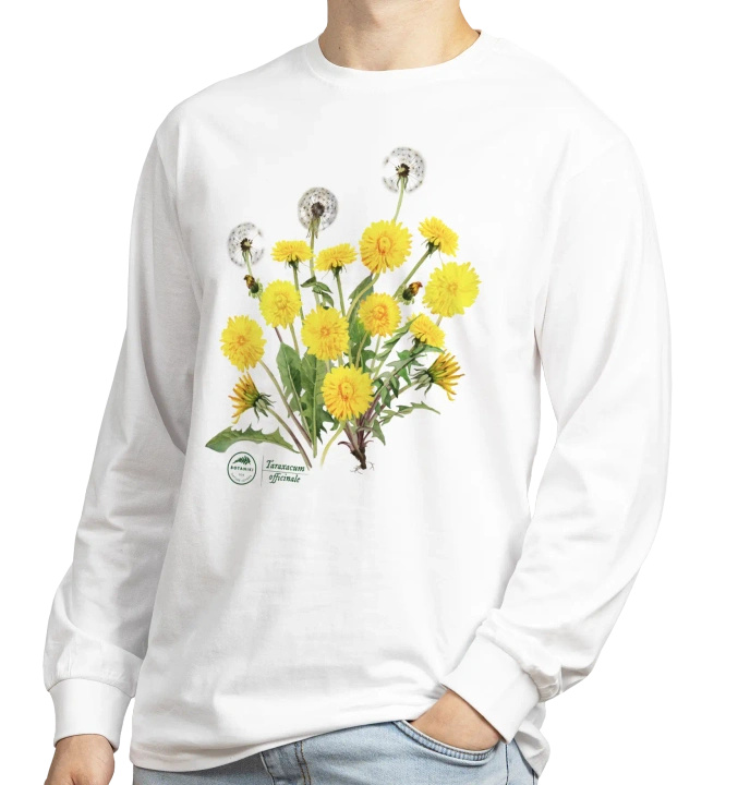 Dandelion — long sleeve t-shirt