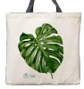 Swiss cheese plant — premium cotton bag