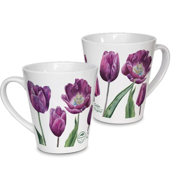 Tulip 'Negrita' — latte mug