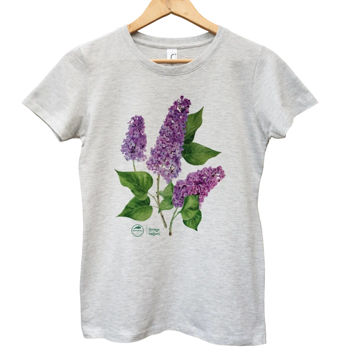 Common lilac — women's t-shirt