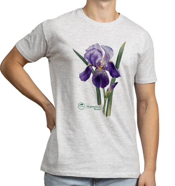 Iris 'Alcazar' — classic t-shirt