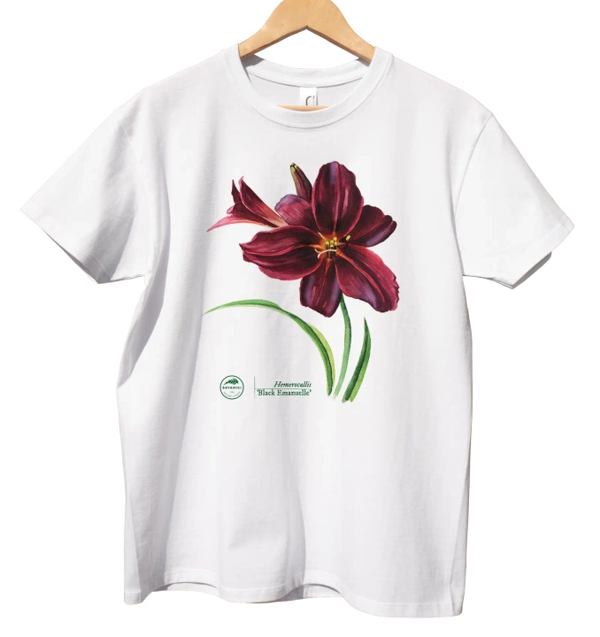 Black Emanuelle daylilies — classic t-shirt