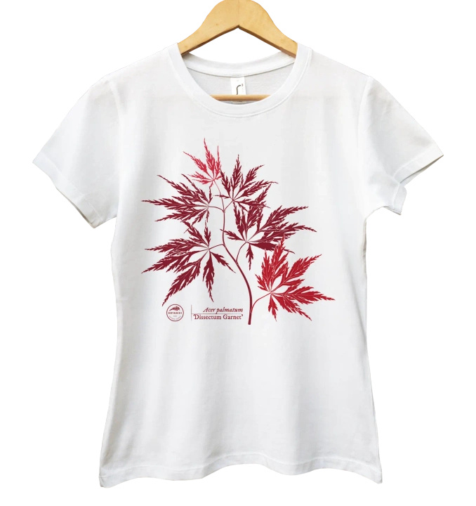 Acer Dissectum Garneta — women's t-shirt