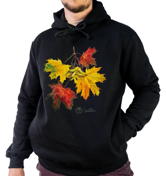Norway maple — premium hoodie