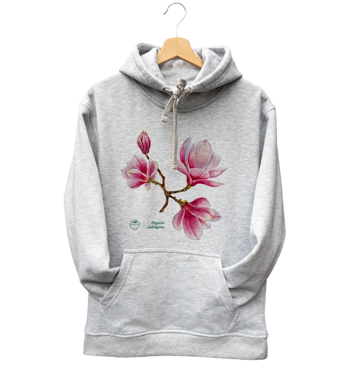 Saucer magnolia — hoodie