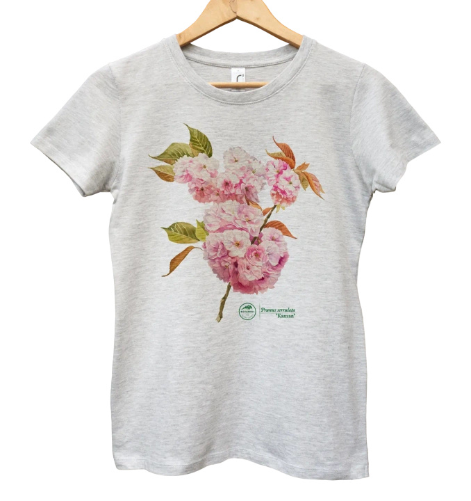 Cherry blossom 'Kanzan' — women's t-shirt