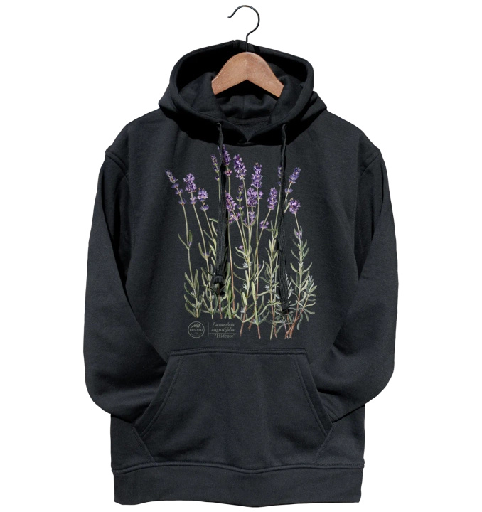 Lavender 'Hidcote' — hoodie