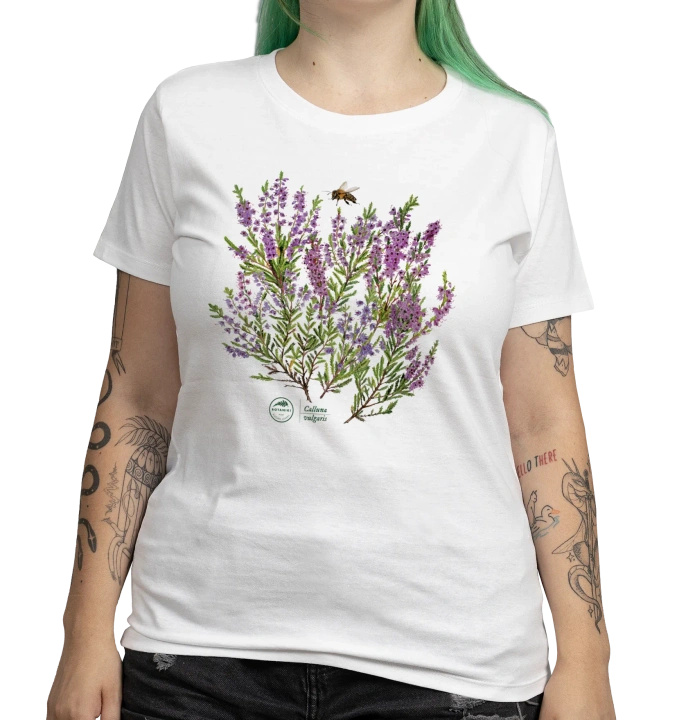 Common heather — women's t-shirt