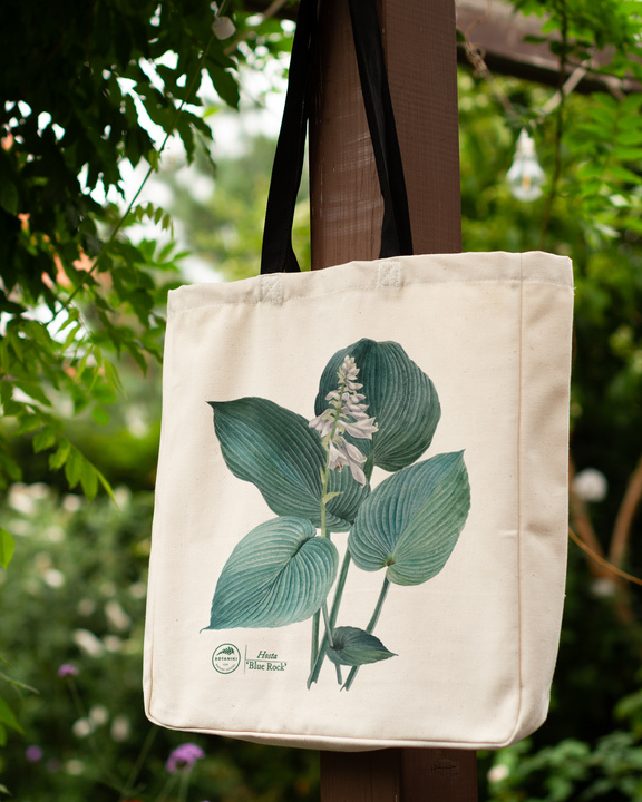 Hosta 'Blue Rock' — premium cotton bag