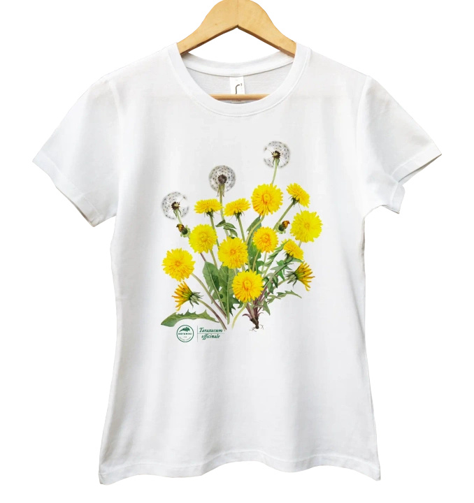 Dandelion — women's t-shirt