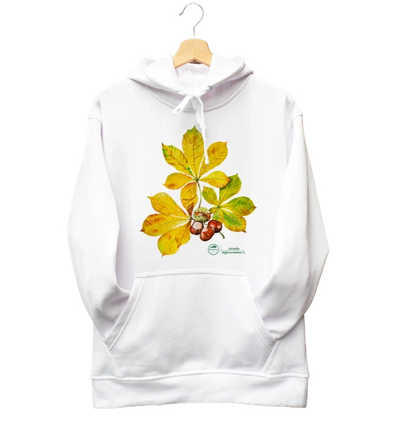 Horse chestnut — hoodie