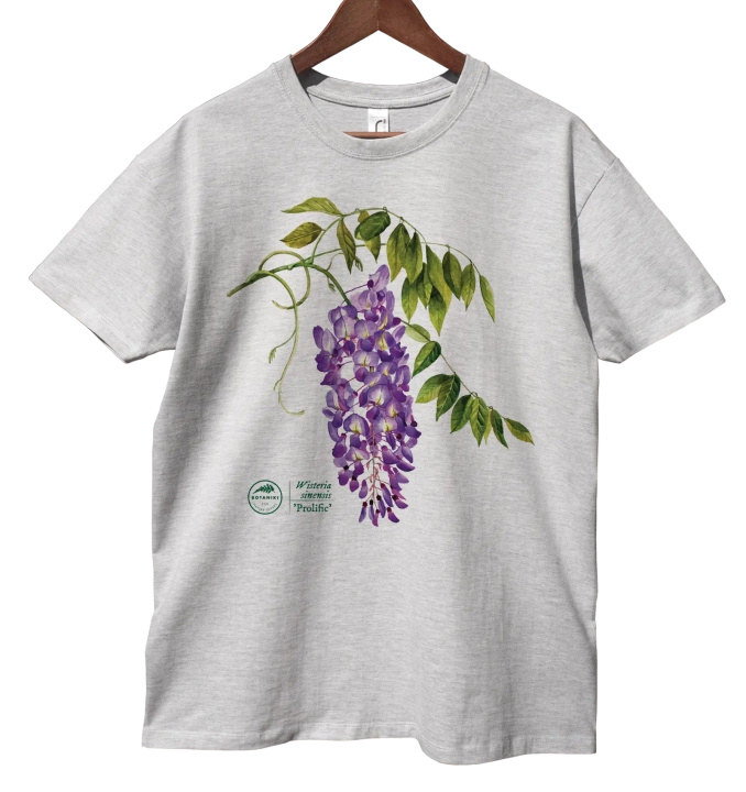 Chinese wisteria 'Prolific' — classic t-shirt