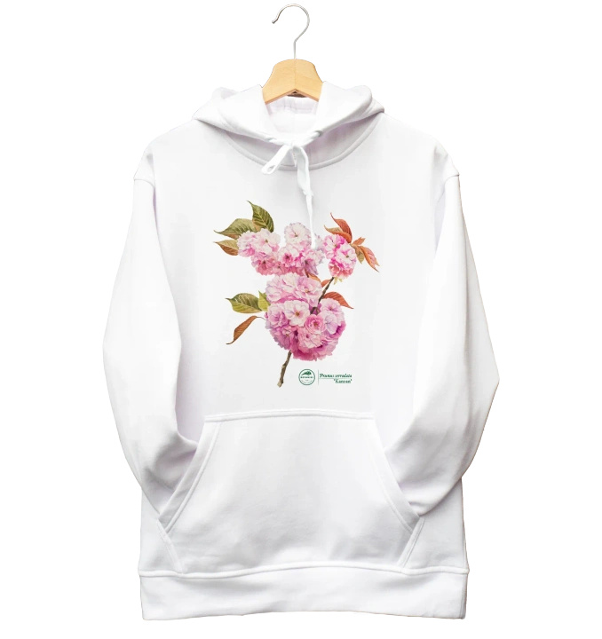 Cherry blossom 'Kanzan' — hoodie