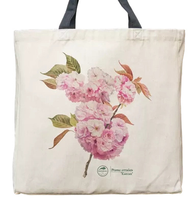 Cherry blossom 'Kanzan' — premium cotton bag