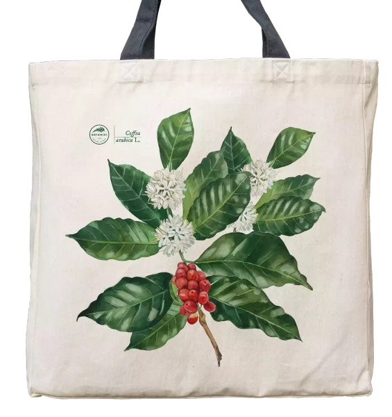 Coffea arabica — premium cotton bag