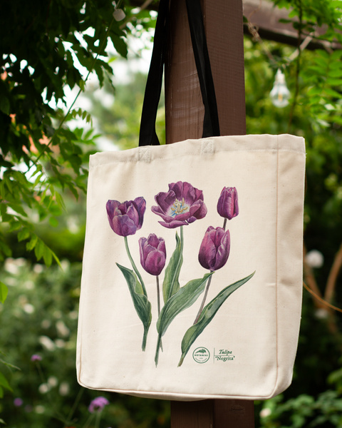 Tulip 'Negrita' — premium cotton bag