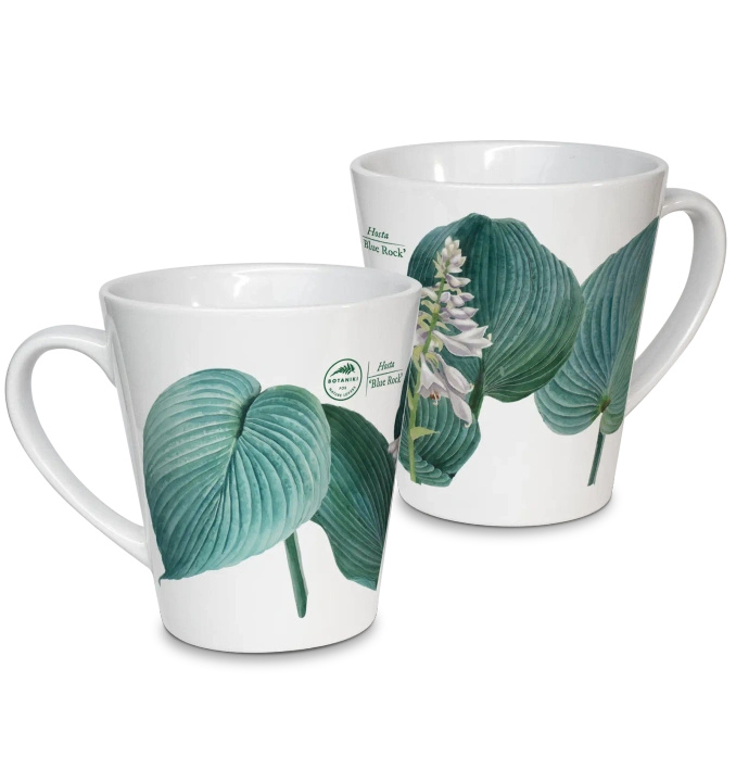 Hosta 'Blue Rock' — latte mug