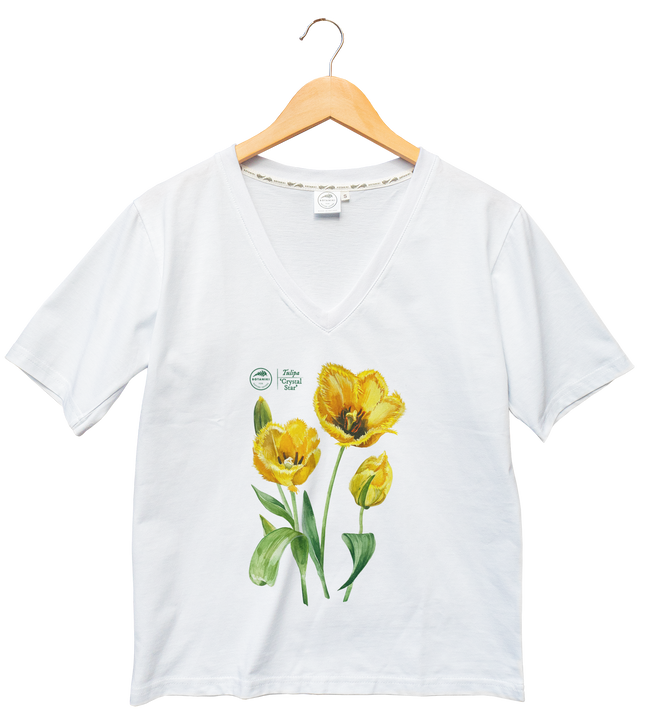 Tulips 'Crystal Star' — premium  t-shirt