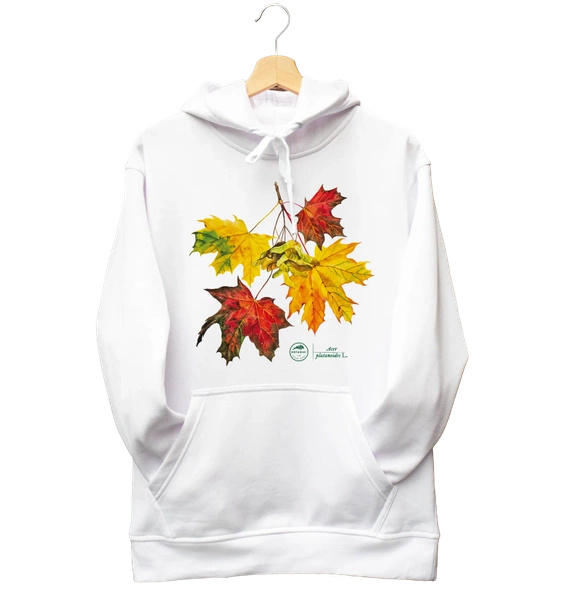 Norway maple — hoodie