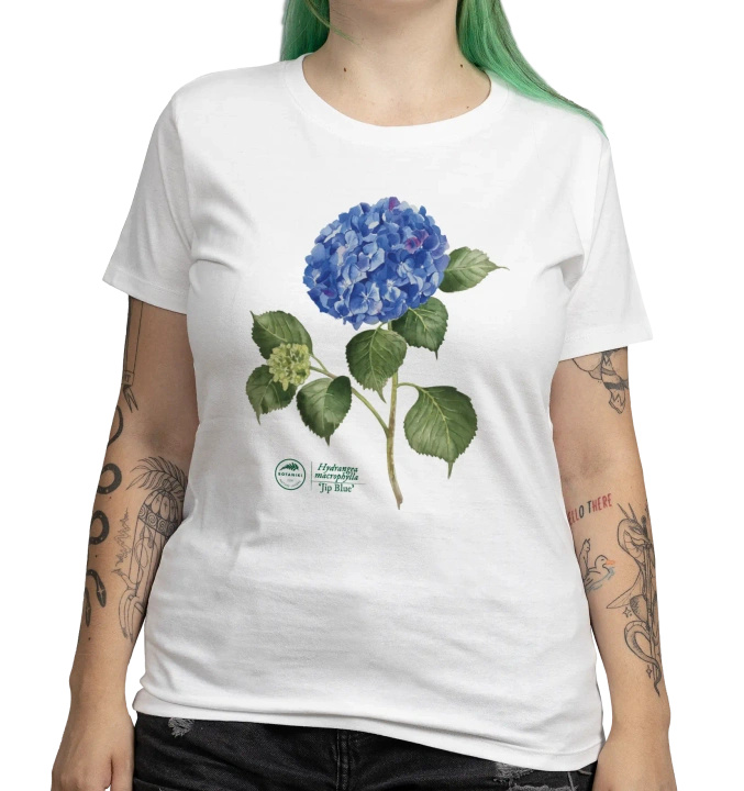 Hydrangea 'Jip Blue' — women's t-shirt