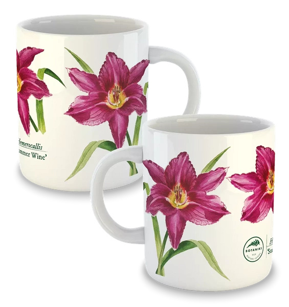 Daylilies 'Summer Wine' — classic mug