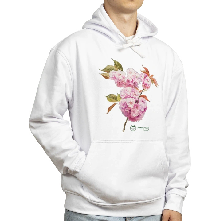 Cherry blossom 'Kanzan' — hoodie