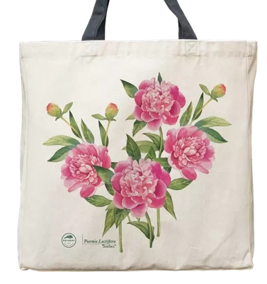 Chinese peony 'Sorbet' — premium cotton bag