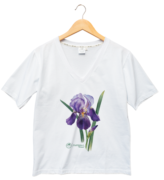 Iris 'Alcazar' — premium  t-shirt