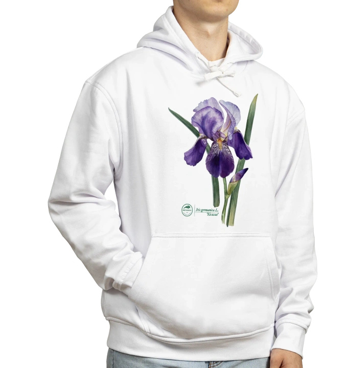Bearded iris 'Alcazar' — hoodie